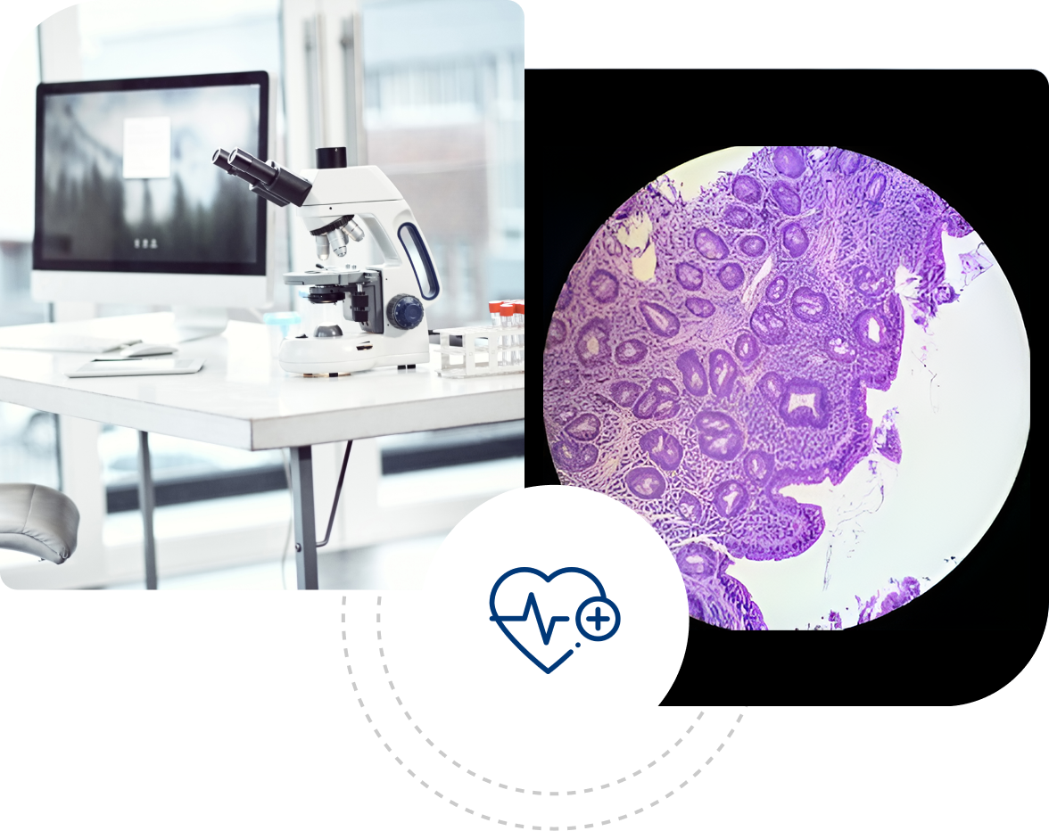 A microscope and an image of the inside of a cell.